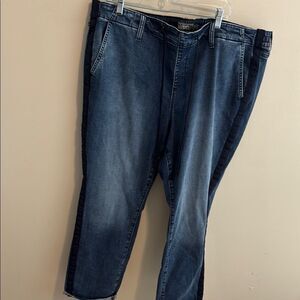 Torrid pull on jeans size 3r
